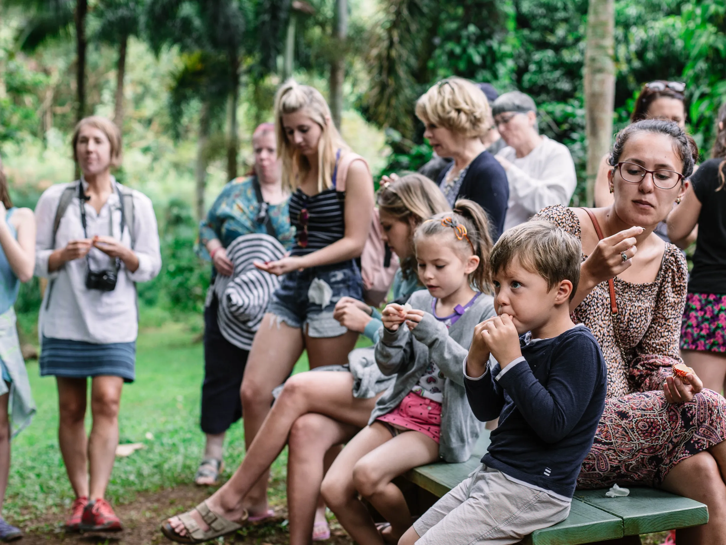 Tour Group Sampling Hawaiian fruit