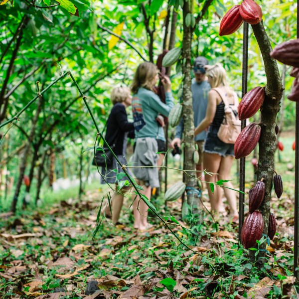 Scene from Lydgate Farms
