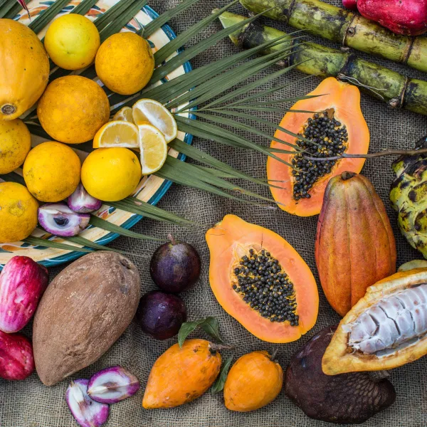 fresh tropical fruit from lydgate farms kauai, hawaii, usa