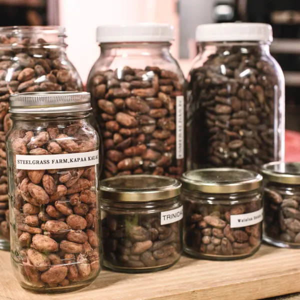 Cacao seeds from around the world in glass jars