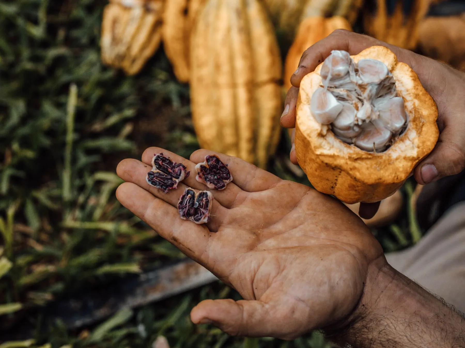 a person holding a stuffed animal