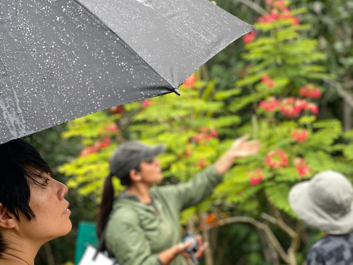 a group of people standing in the rain holding an umbrella