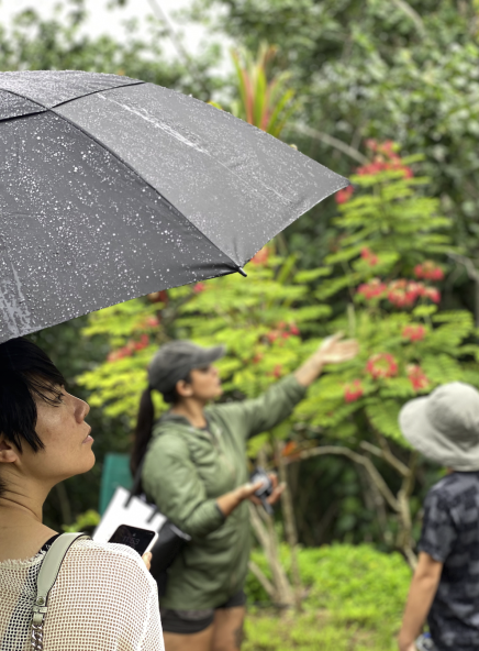 People in a garden, one holding an umbrella; a guide points at plants with red flowers.
