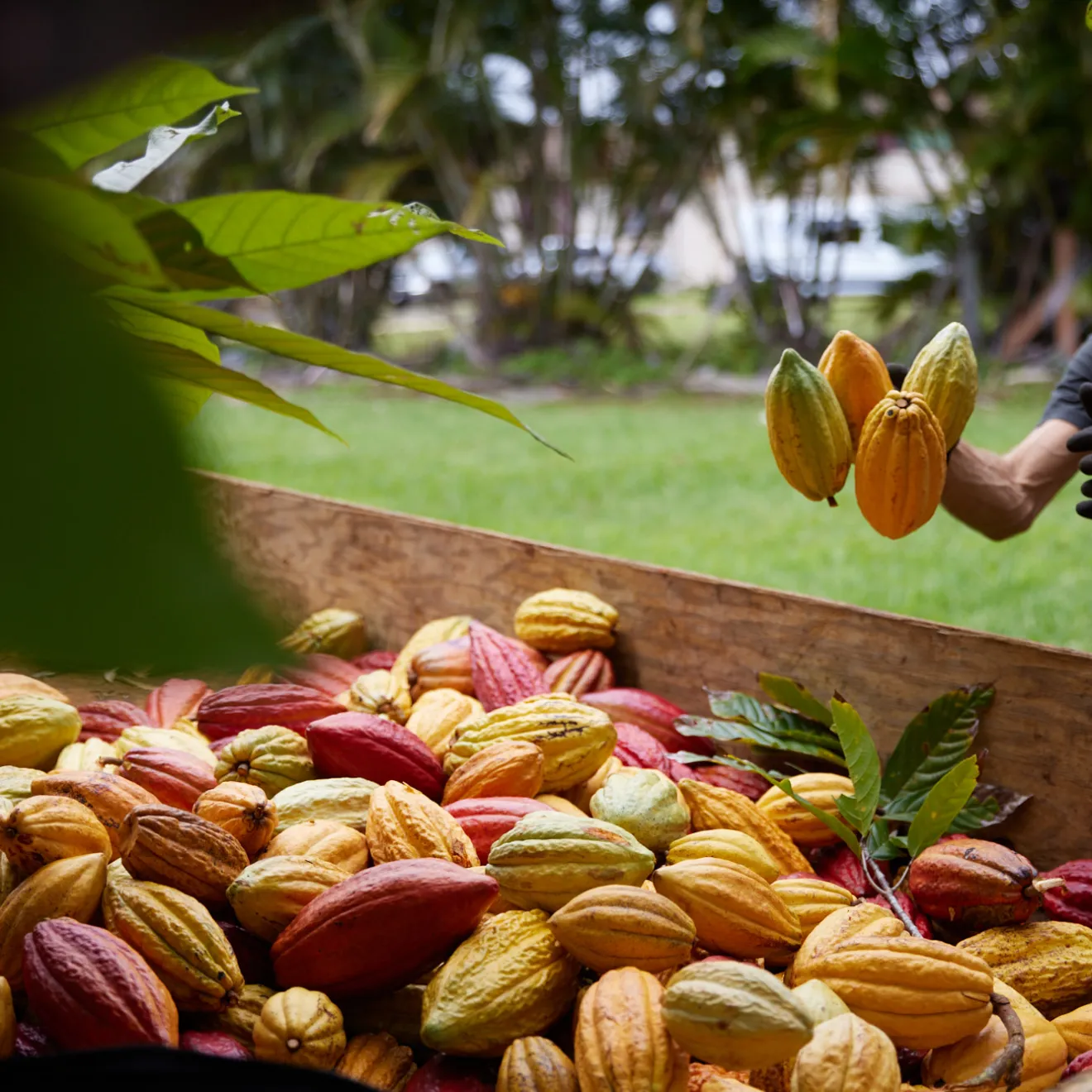 a person sitting at a fruit stand