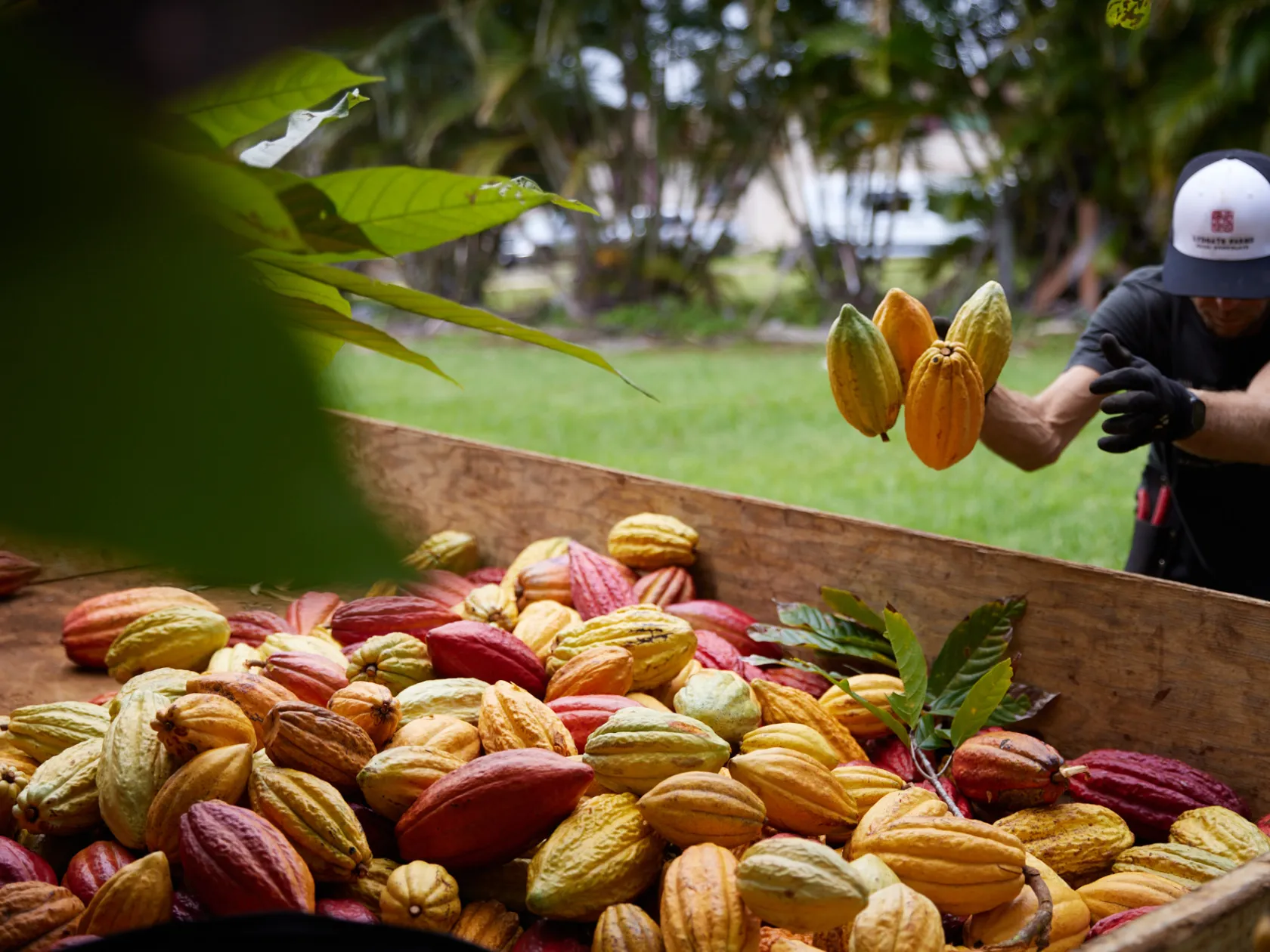 a person sitting at a fruit stand