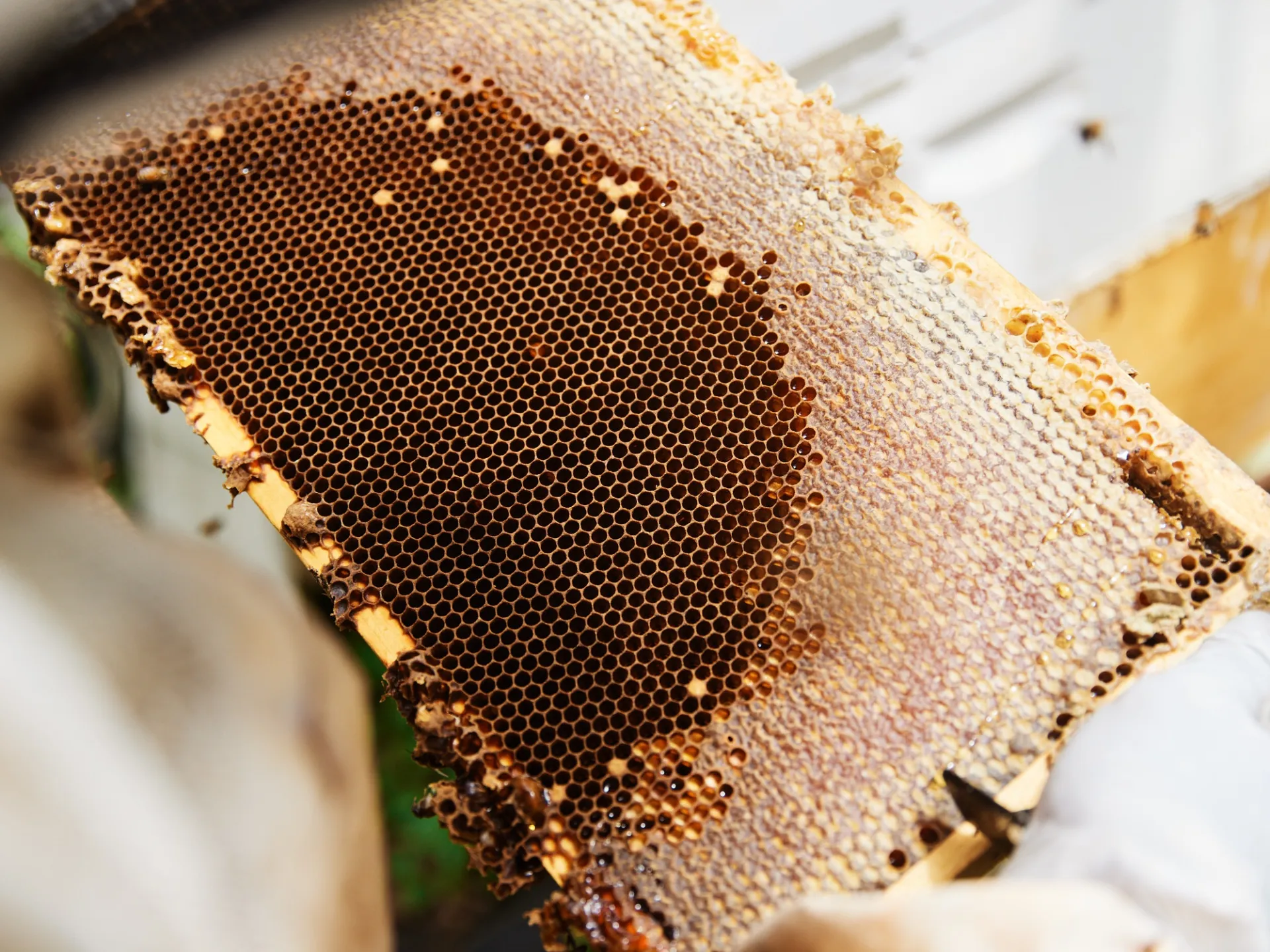 a close up of a piece of cake